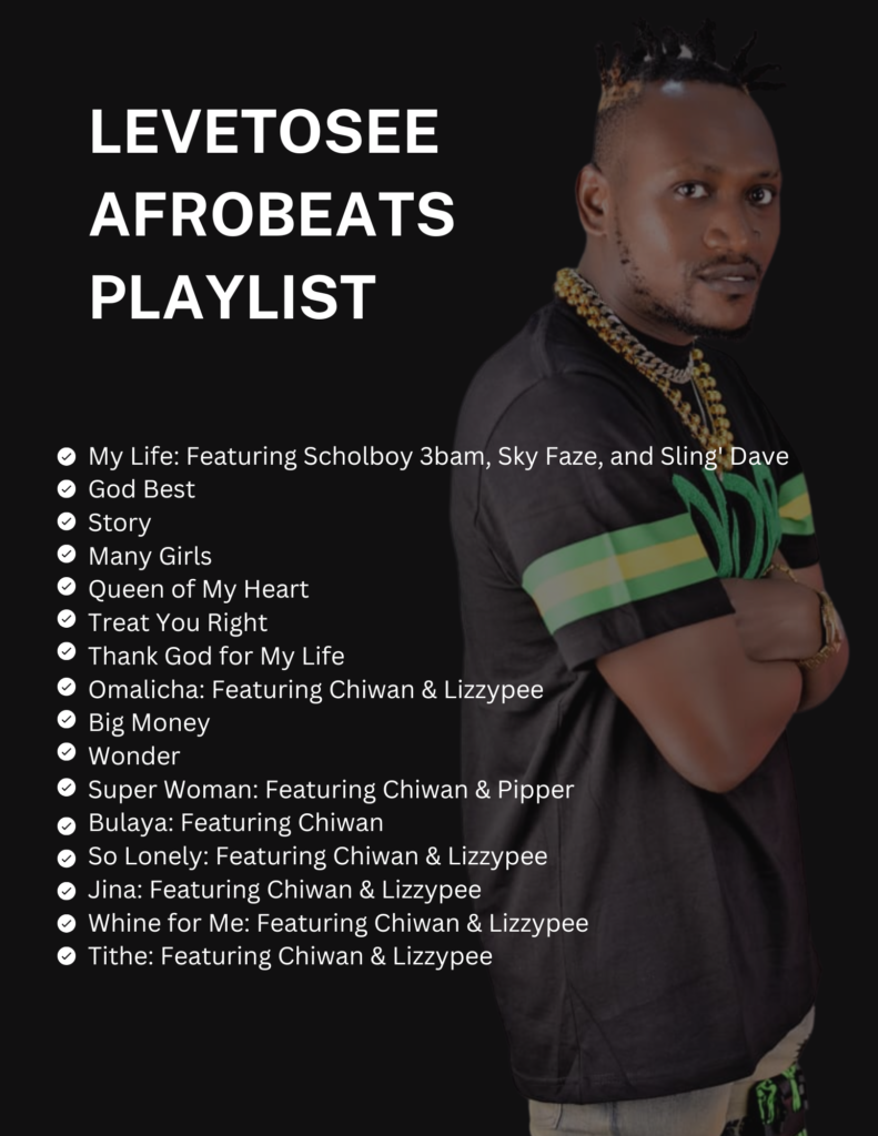 Rhythm and Vibes: Levetosee Afrobeats Track List